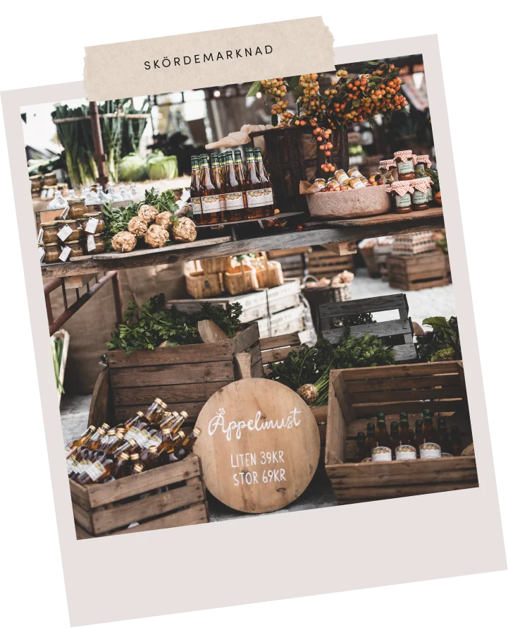 Styling & Set Design – projektbild 37